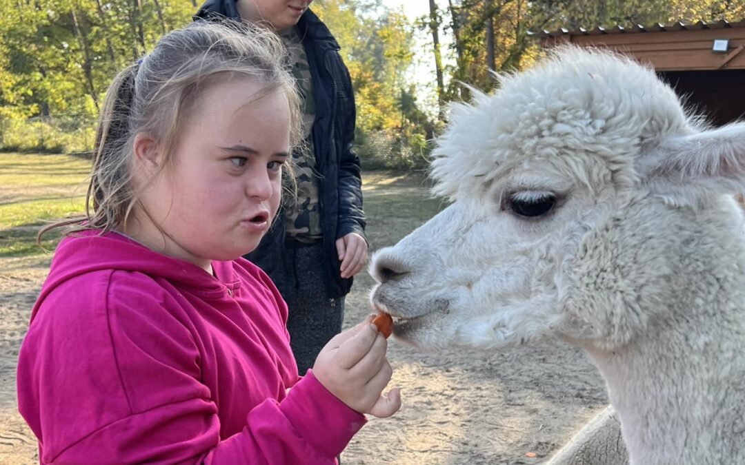 Nasi czworonożni przyjaciele