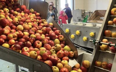 Program edukacji żywieniowej